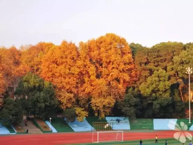 武汉最牛逼的大学有哪几所,武汉公认最好的十所大学