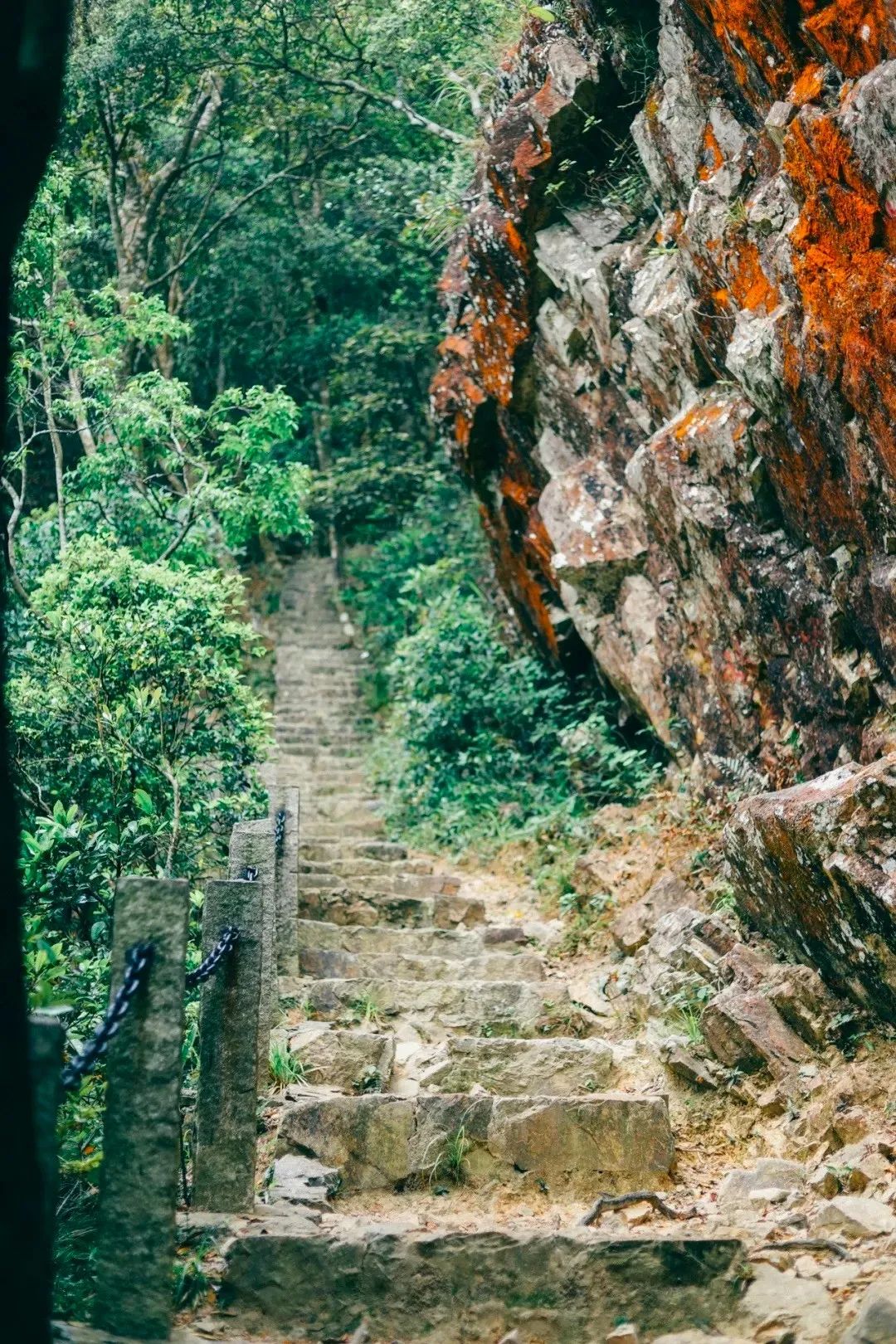 深圳值得打卡的建筑物,深圳最值得打卡的山