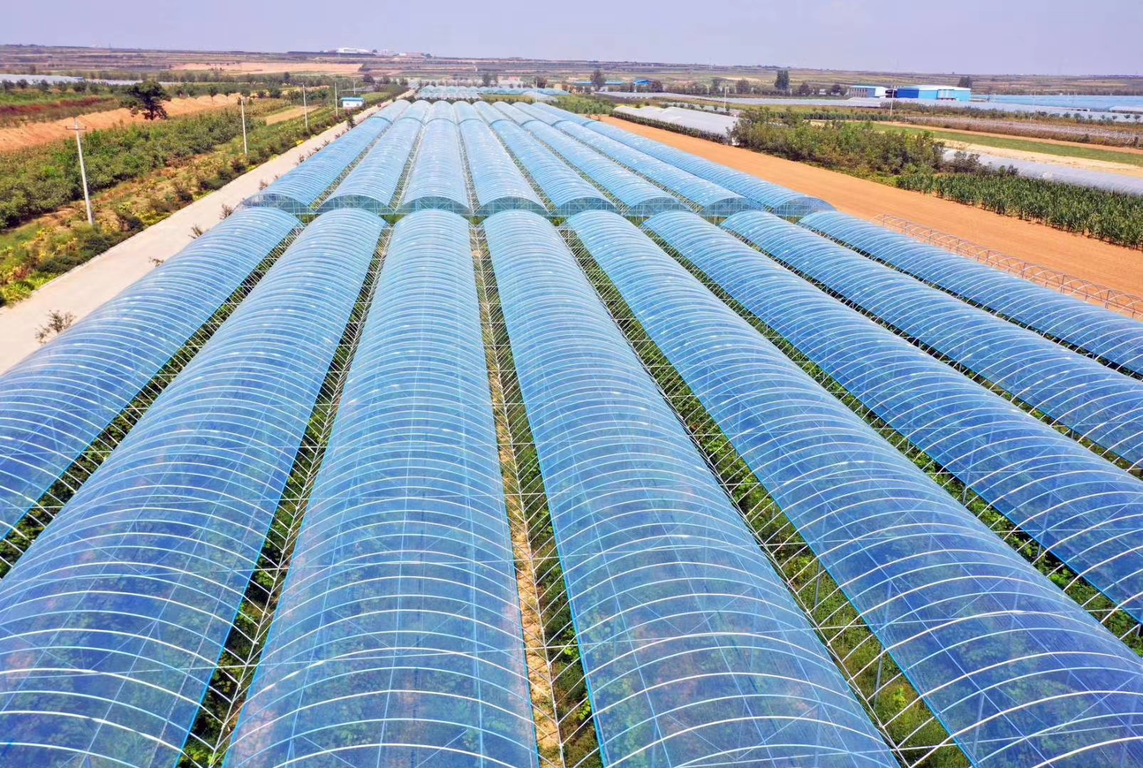 合阳县乡村振兴驻村帮扶,合阳县乡村振兴观摩