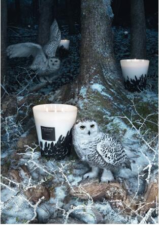 鍑拻鑷冲皧杩涘彛,鍑拻鑷冲皧杩涘彛瀹跺眳娣卞湷