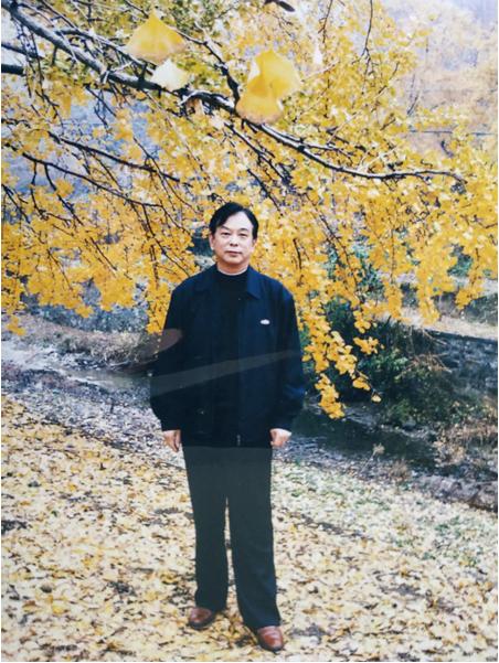 熊宗荣：今生难得一见的壮丽景象——随州银杏王国行