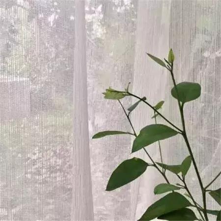 慢慢开始接纳和包容不完美的自己,真正爱上不完美的自己