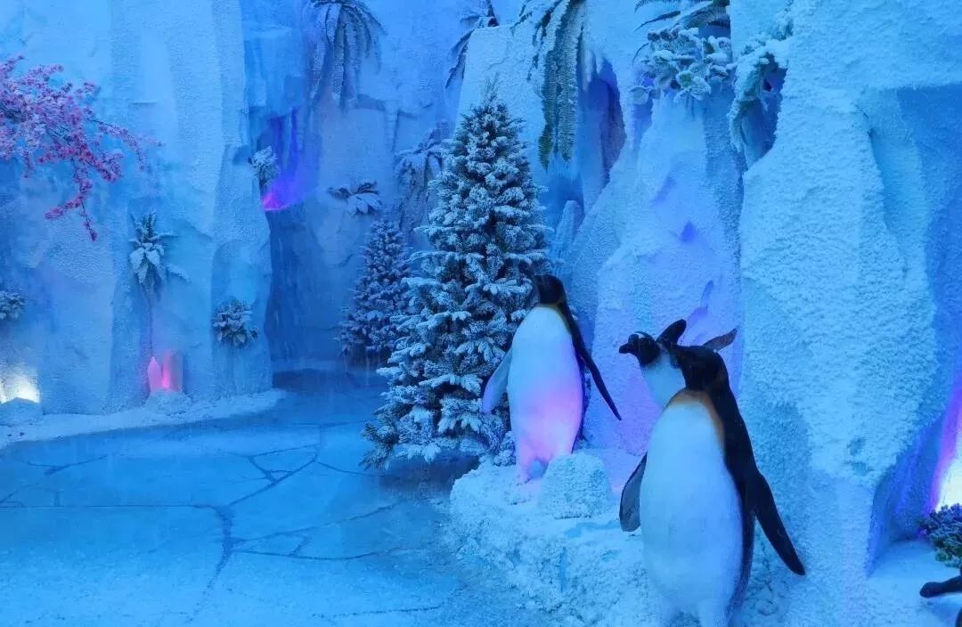 绍兴越城区玻璃栈道,绍兴杭州湾玻璃栈道