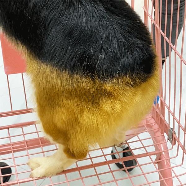 专门摸屁股的店，任摸