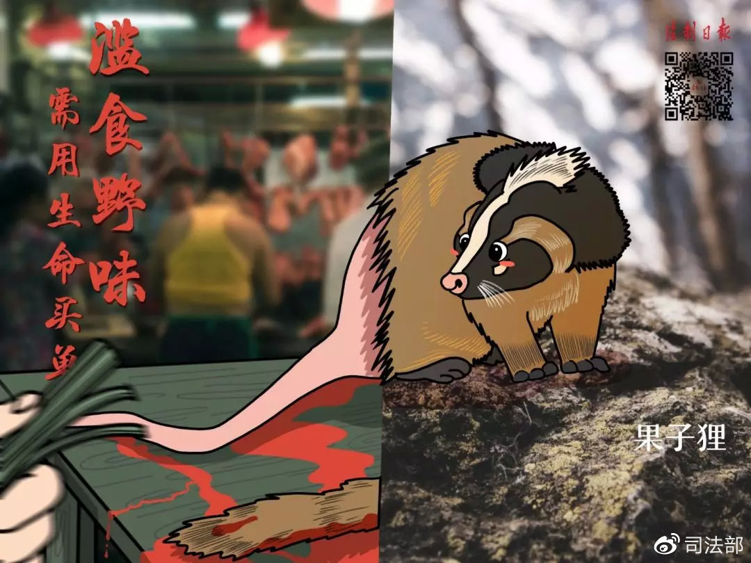 拒绝野味该做到的事情,呼吁大家拒绝野味怎么说