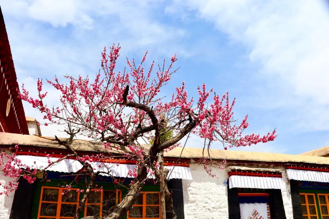 吐血整理！拉萨拍照最美的6个地方，轻轻松松拍出大片