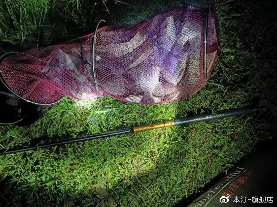 本汀金迦潘求败7米2,本汀金迦潘引领实测