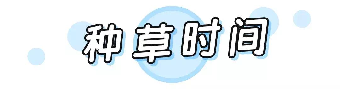 迪丽热巴的腿细到惊人,迪丽热巴的腿究竟有多细