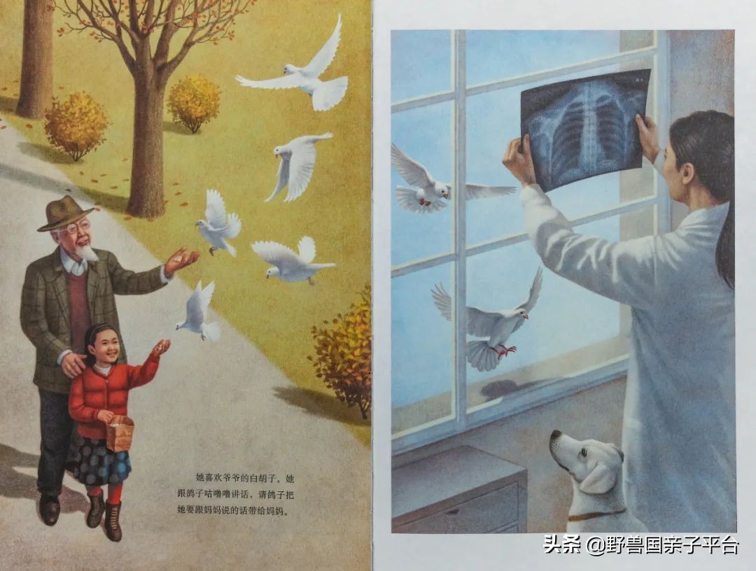 读小库系列书如何,读小库书怎么样