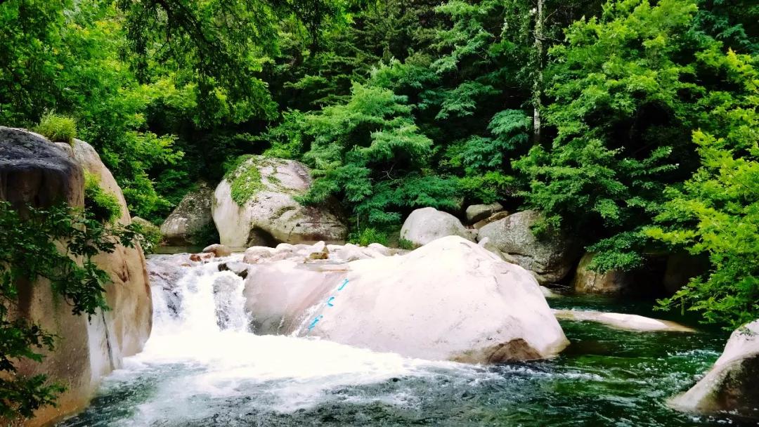 媲美四川九寨沟！山东这些地方野趣十足，承包夏天90%的清凉！