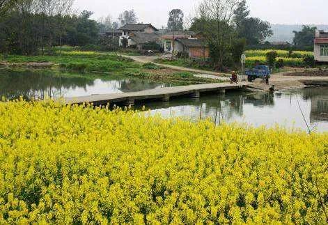 怀念十八年前的城市,现在成都十八中