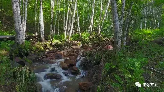 我心中的圣地原唱,我心中的圣地演唱