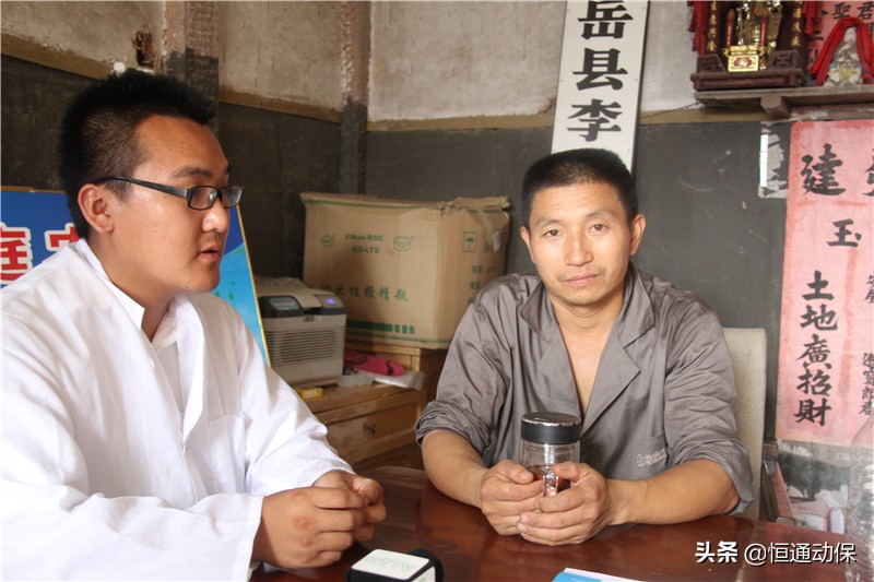 母猪生产顺利怎么做好产后护理,母猪分娩后怎样才能养好母仔猪