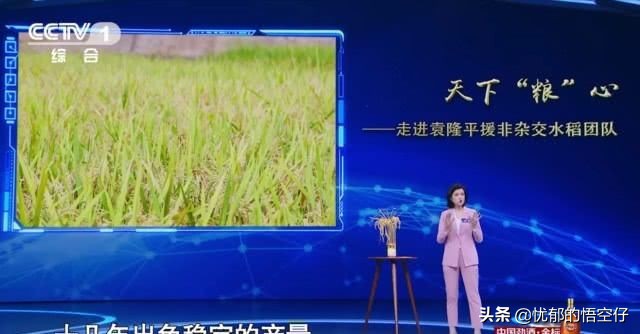 邹韵袁隆平主持人大赛完整视频,2019主持人大赛邹韵袁隆平