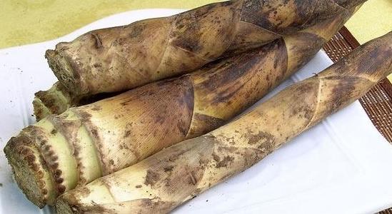 竹笋烧肉怎么烧好吃要不要焯水,竹笋烧肉最正宗的做法