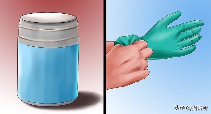 猫咪粪便检测出菌群超标,猫咪腹泻吐白色泡沫食欲还行