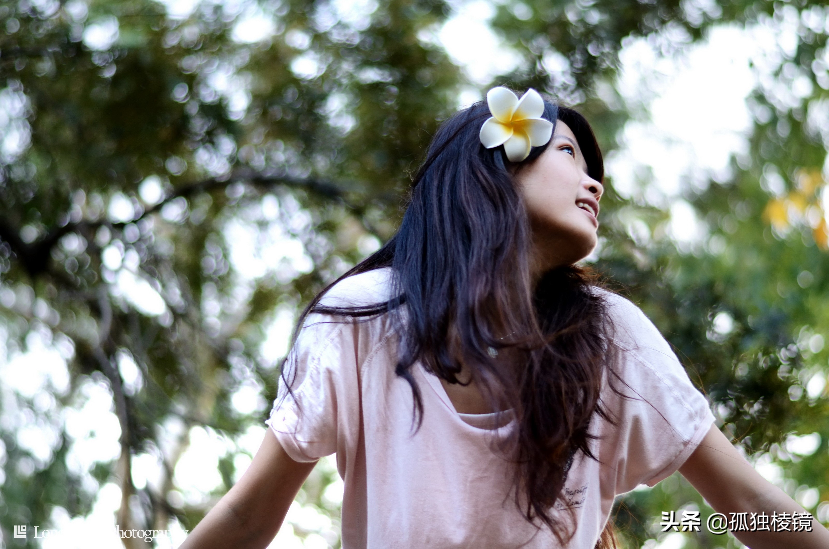 新手的第一支镜头怎么选？——这3款是尼康单反镜头的入门首选