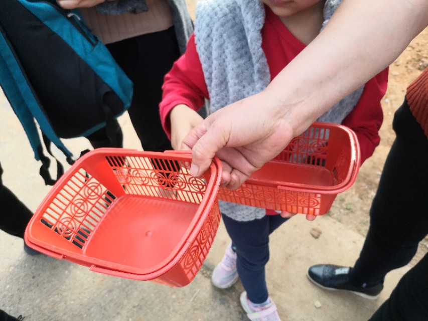 长沙附近摘草莓的地方在哪里,长沙开福区周边摘草莓的地方