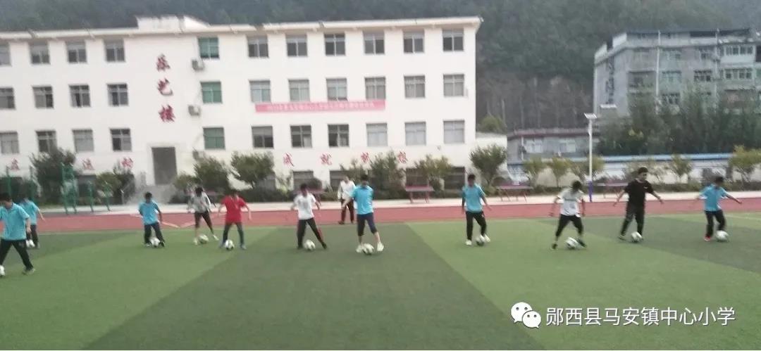 刚进学校的新老师,刚入职新教师