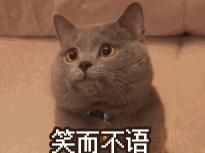 初学者如何使用kissme眼线笔,kissme眼线笔真实测评黑茶色