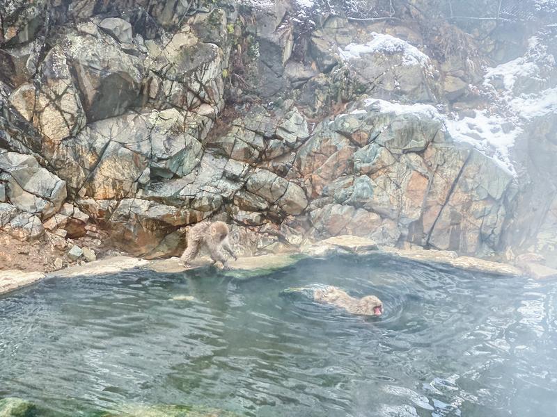 日本小众路线冬,日本冬天观光公路