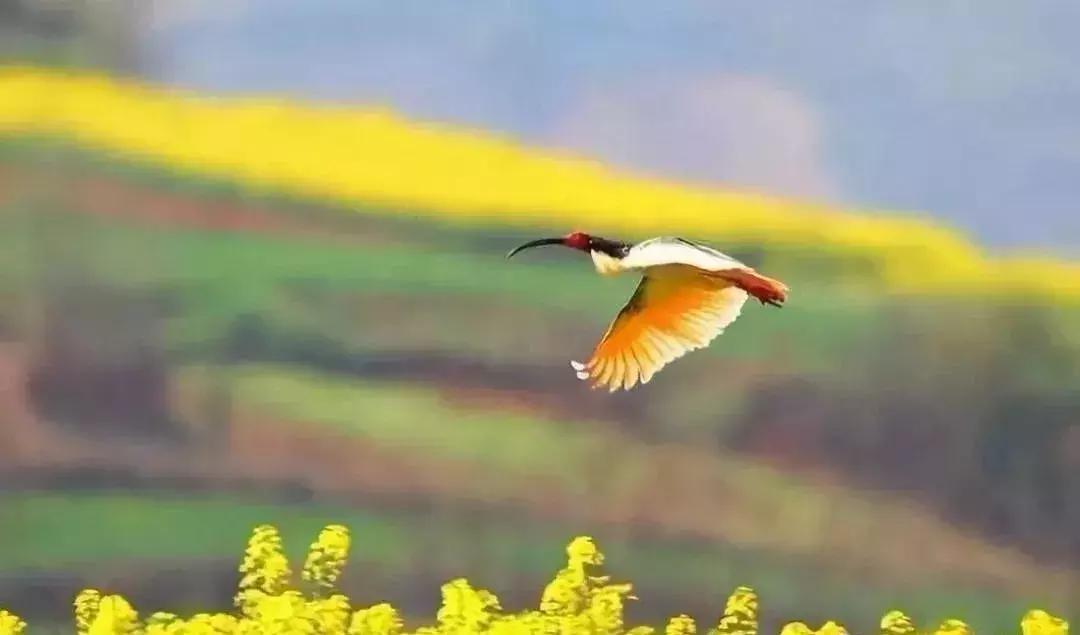 陕西省哪些市发展好,陕西各个县发展排名