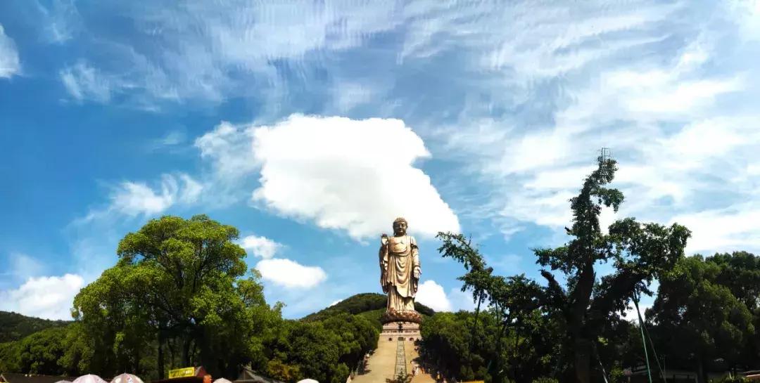 随处皆祥云诸佛现全身手机全景角度下的灵山大佛