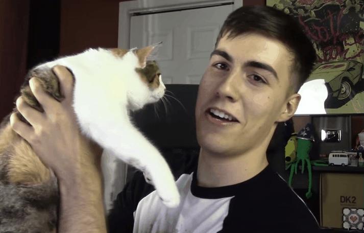 猫咪老是舔猫是嫌弃自己太脏了吗,假舌头舔猫咪的时候猫怎么想的