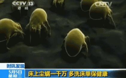 被子搞发霉了该怎么洗才没异味,被子没洗过有味道