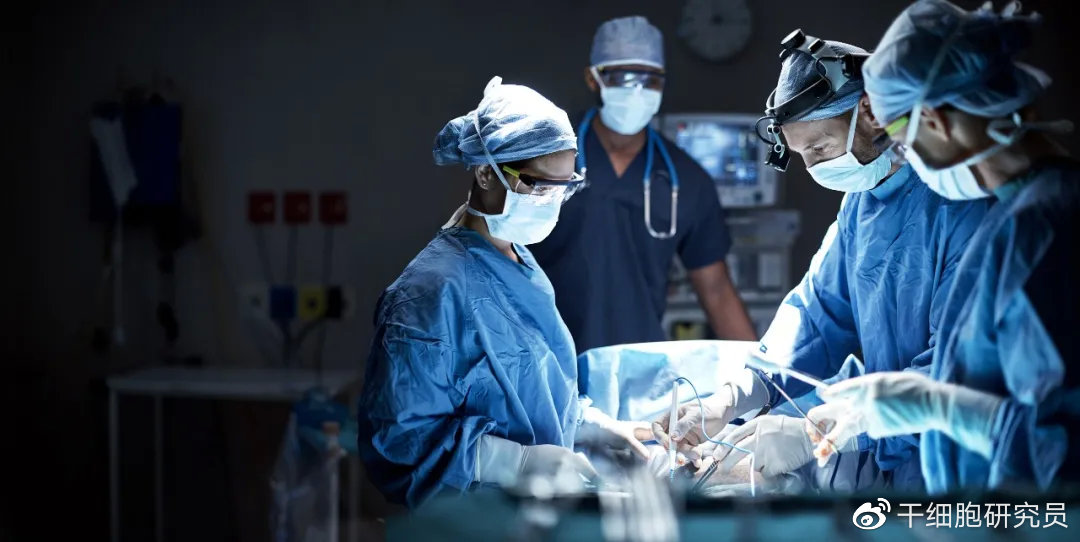 干细胞治疗糖尿病肾病的最新进展,间充质干细胞治疗糖尿病肾病