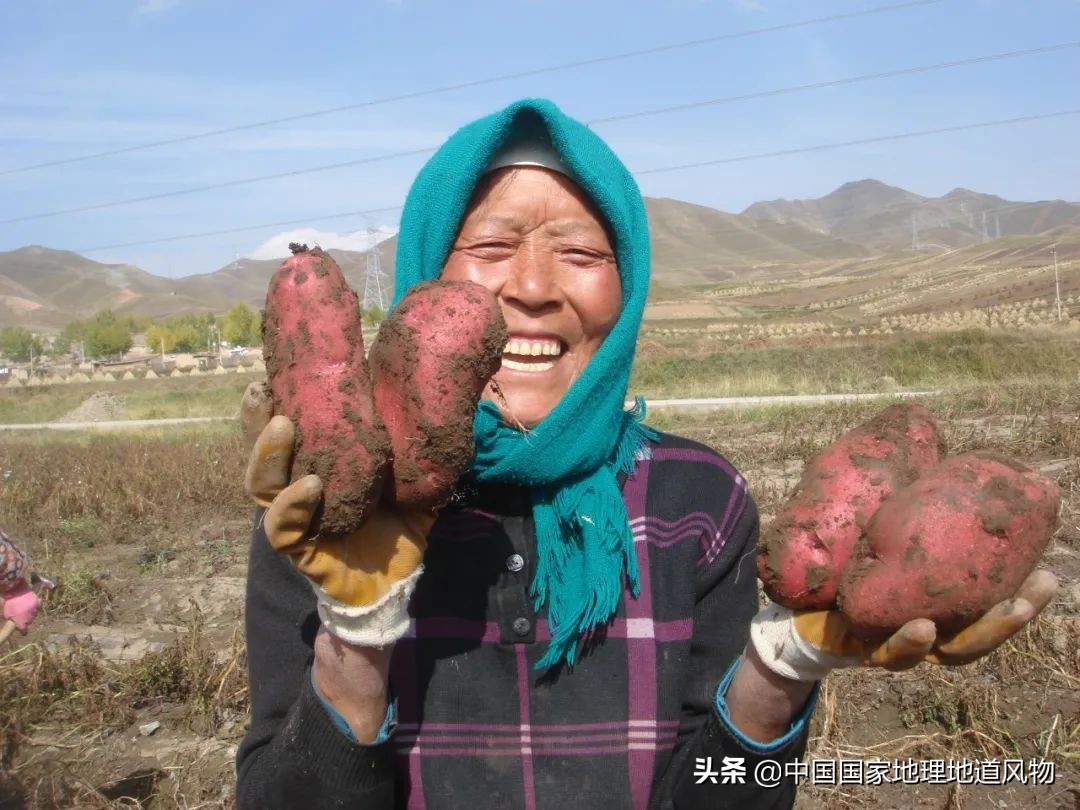 甘肃人的土豆,甘肃人的寿命长吗