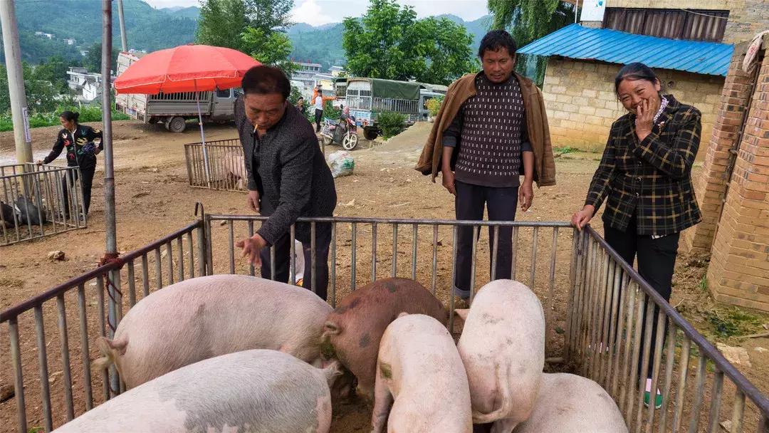 重访乌江丨继往开来，“古夜郎”成了可乐乡最亮的一张名片
