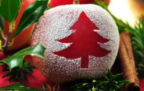 圣诞节礼物袋,圣诞节礼物送女朋友