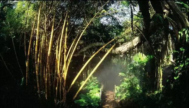 深圳旅游必去十大景点亲子游,深圳龙华旅游必去十大景点