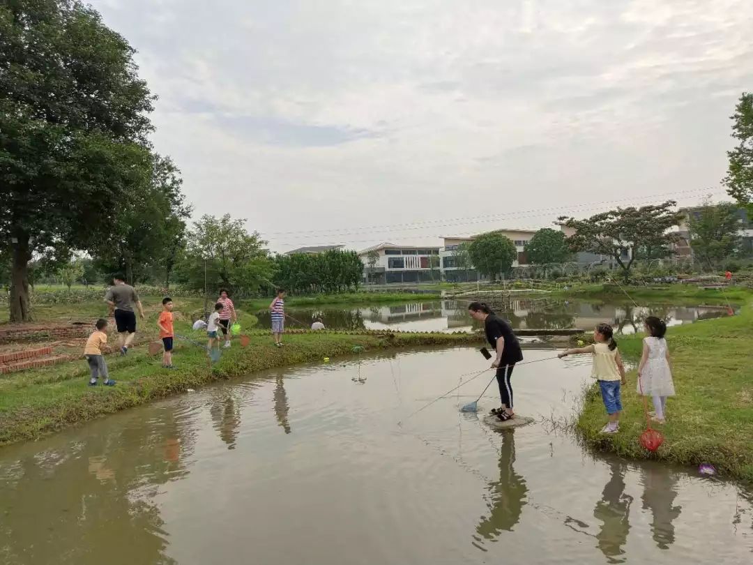 紫薇园宿州露营音乐节,中华紫薇园露营