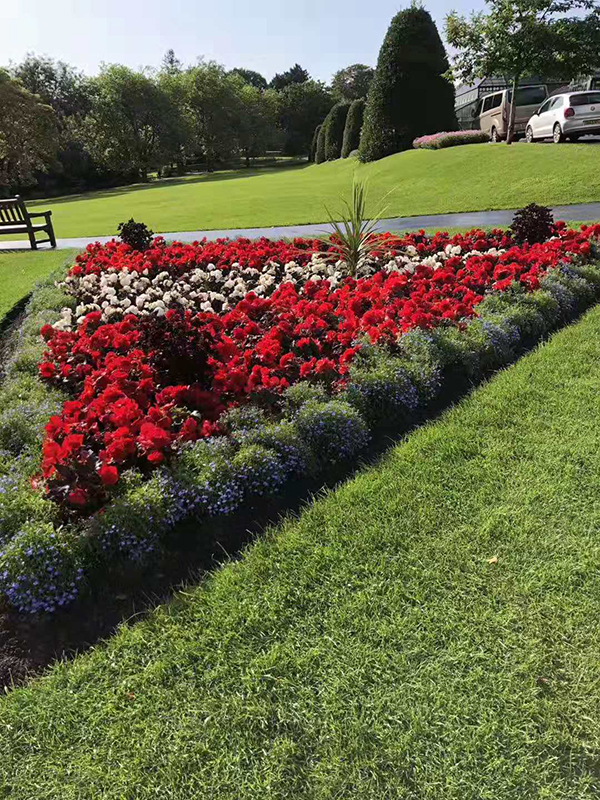 去新西兰读小学,新西兰适合小学留学吗