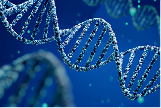 nature重磅揭秘人类抗击糖尿病历史,nature十大科学进展