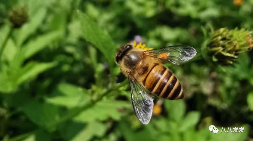 优生优育，孕前调理，有备无患