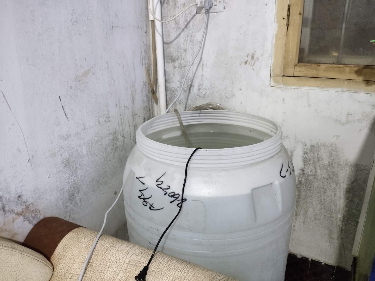 这个事情不是闹着玩的，室内养鱼很多的鱼友，一定要看这篇文章