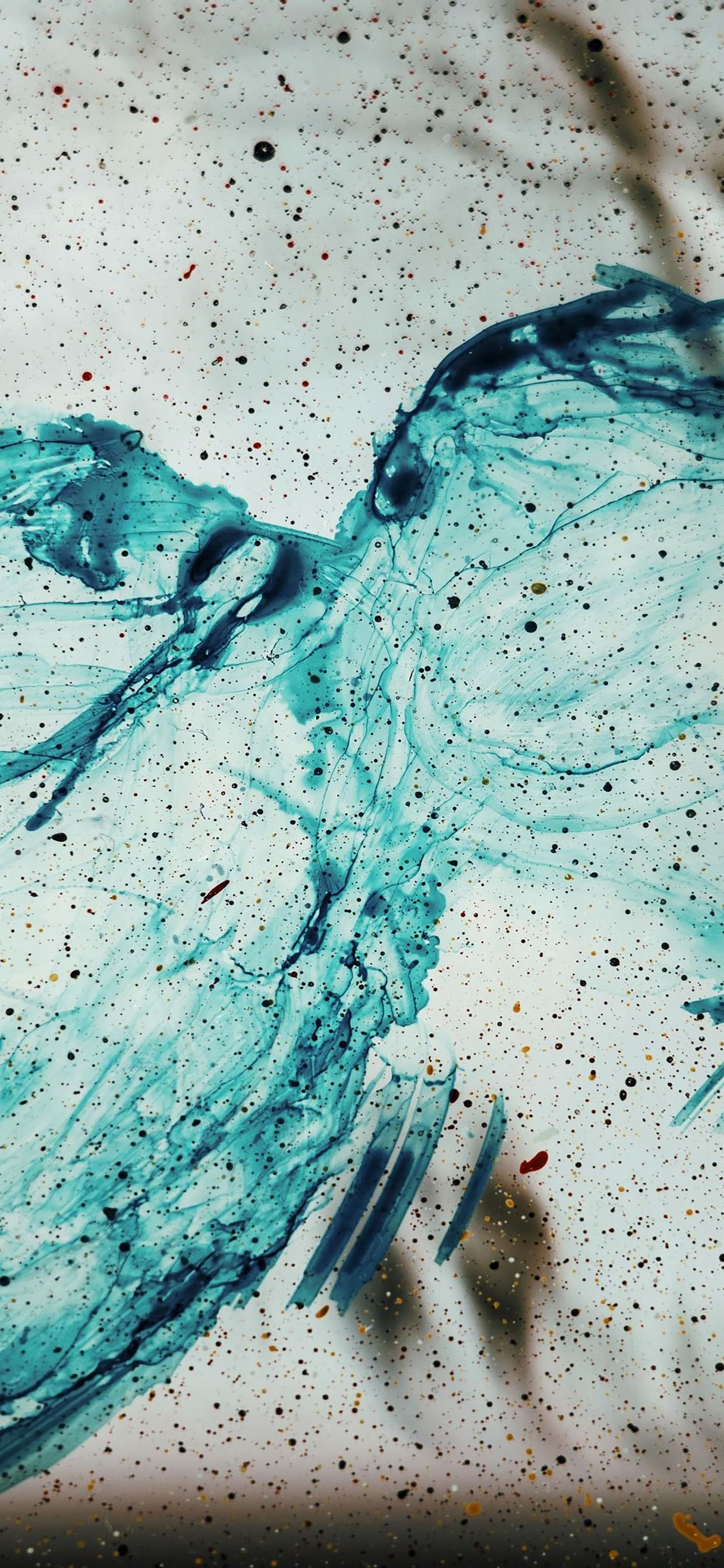 高贵到极致色彩分明壁纸,苹果极致色彩壁纸高清