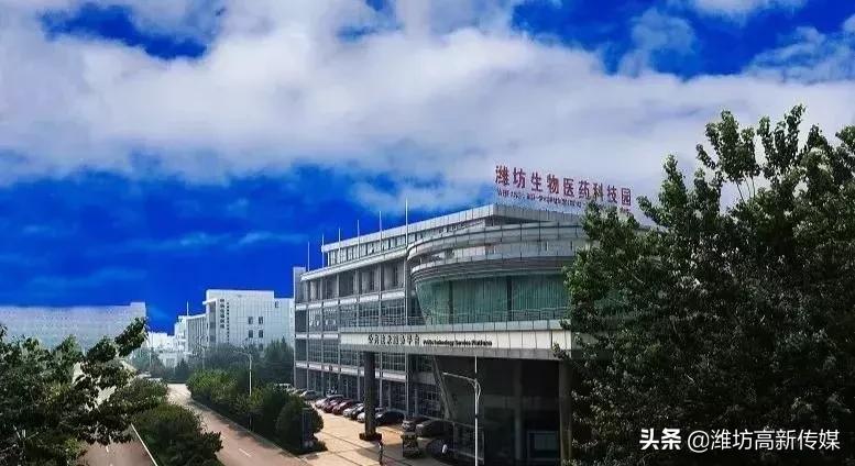 秘籍曝光！京潍萍水相逢不到一年就“闪婚”！原来道道这么多