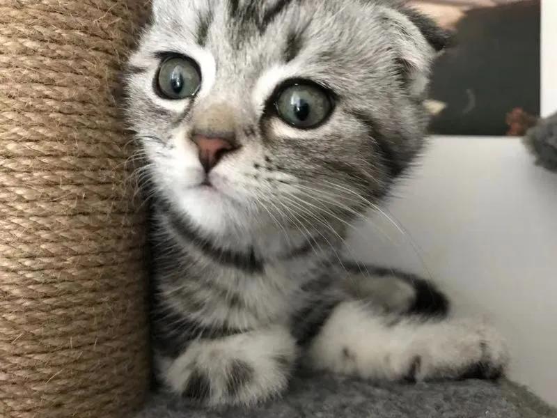 被骗109万涉案金额1亿多,被骗1300人涉案金额达1亿