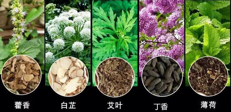 30多岁股骨头坏死怎么治疗,股骨头坏死二期可以稳定不发展吗