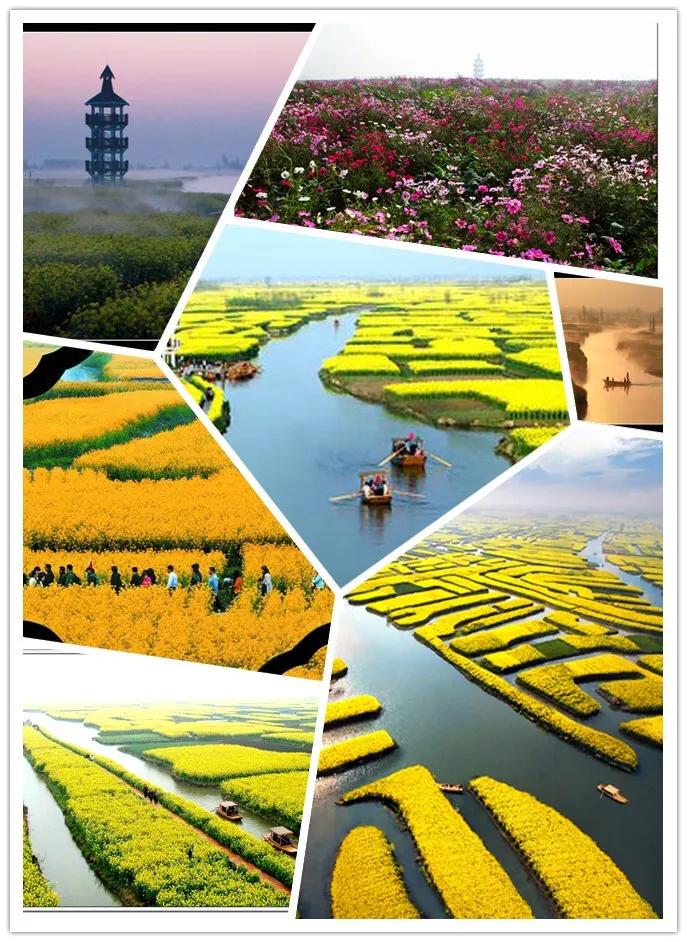 兴化的城市好冷,外地人评论兴化