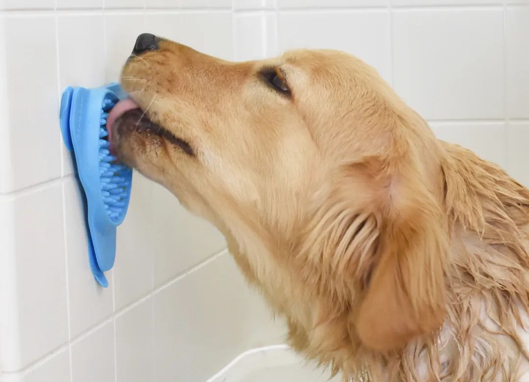 未来5年宠物智能产品,宠物产品logo设计