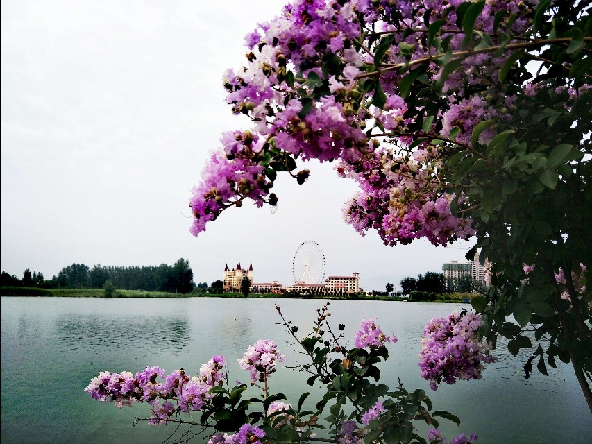 濞佹捣鑾辫尩灏忛晣,澶╂触鑾辫尩灏忛晣