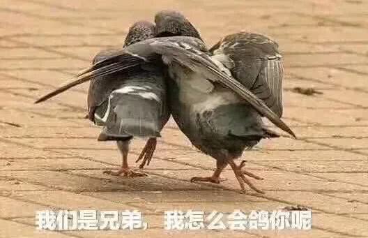 我是一个鞋贩子,鞋贩子心声