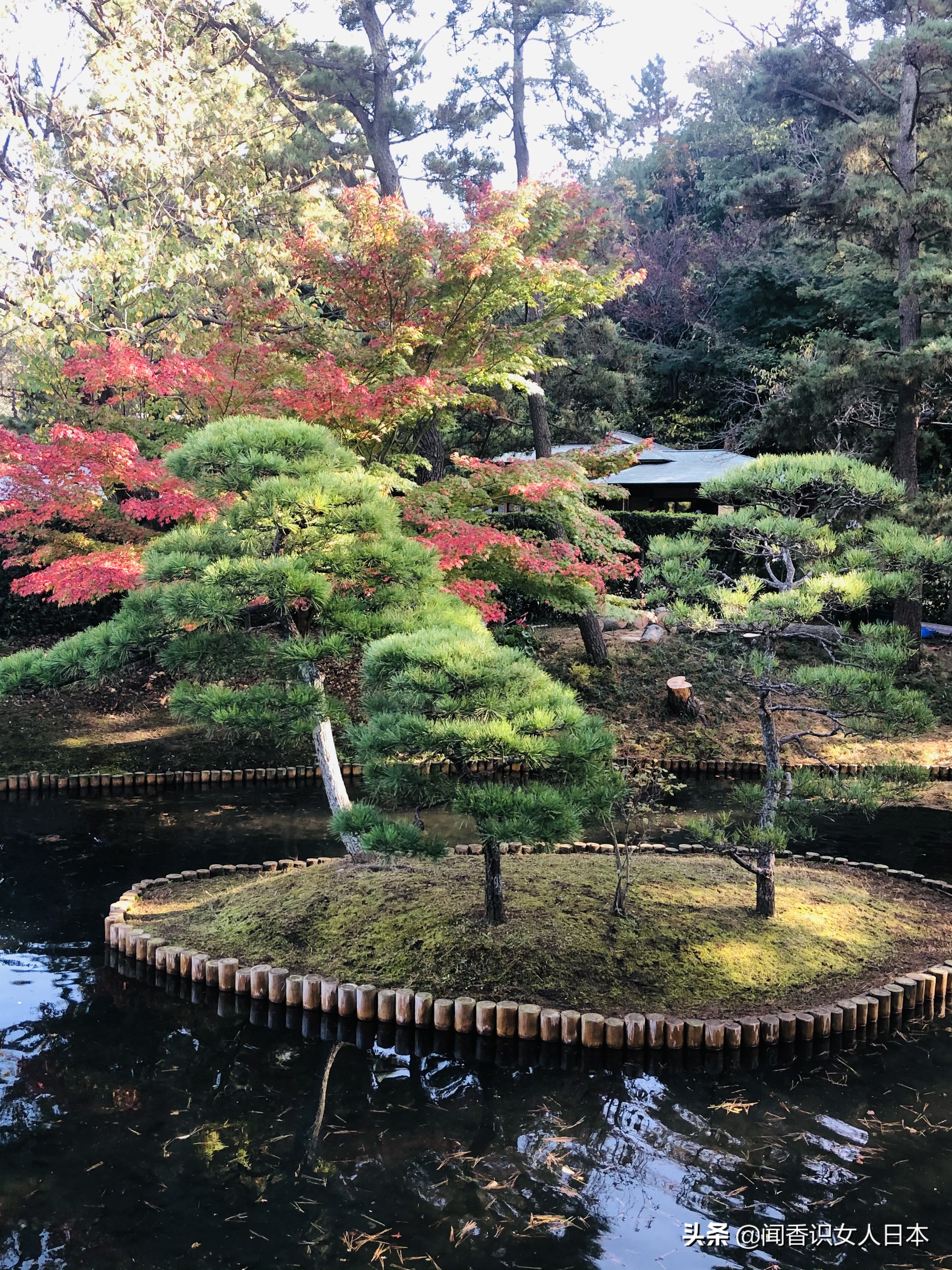 横滨三溪园,横滨三溪园介绍
