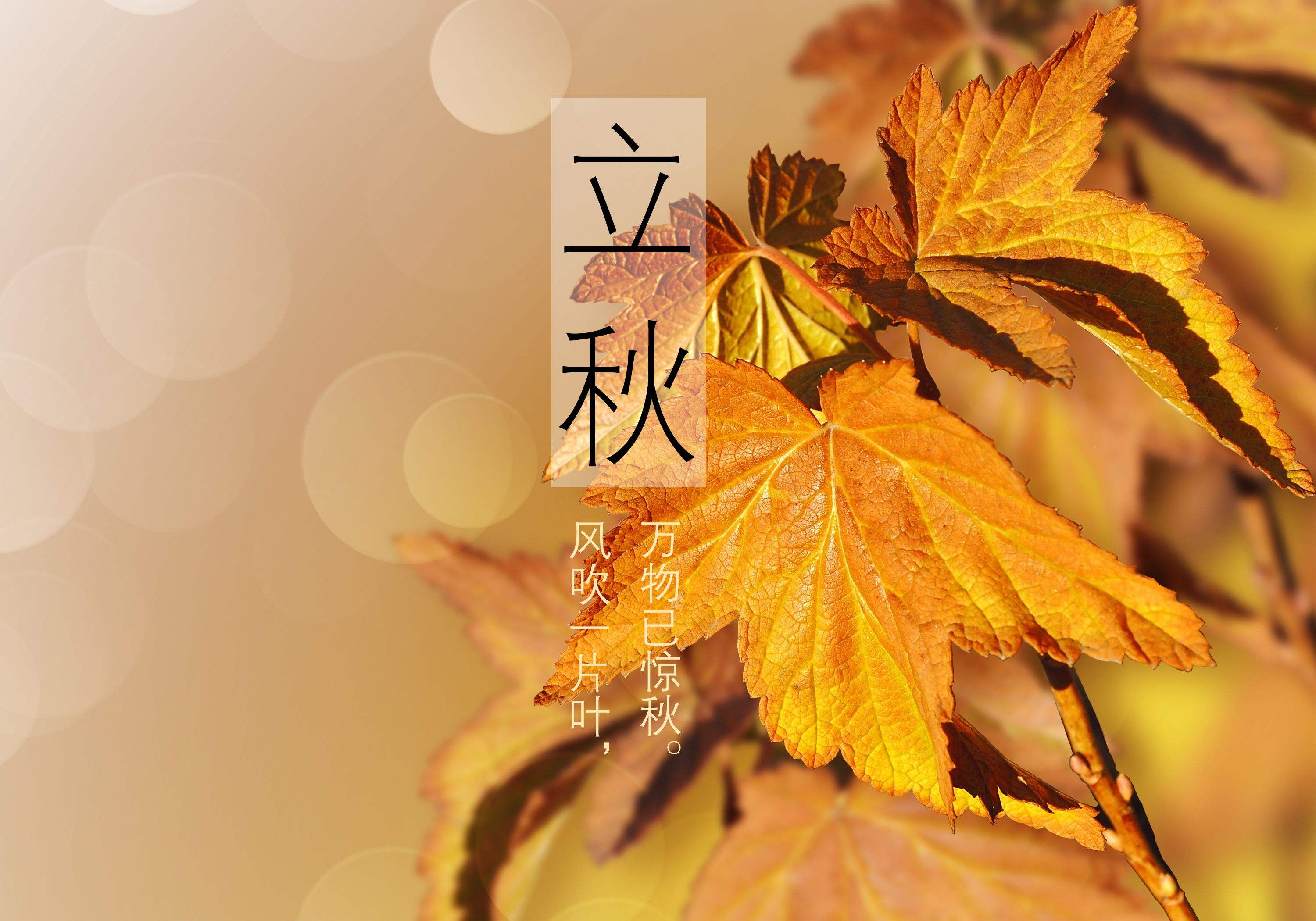 这条街就如同一个醉汉(中高年级)「杨柳风学堂习作选登」