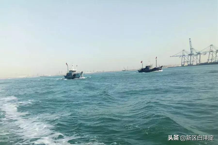 白洋淀纪事真实故事,真实的白洋淀传说